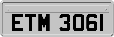 ETM3061