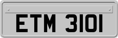 ETM3101