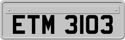 ETM3103