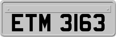 ETM3163