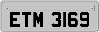 ETM3169