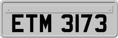 ETM3173