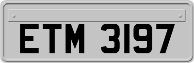 ETM3197