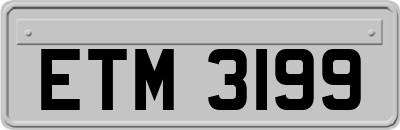 ETM3199