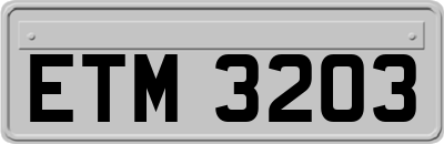 ETM3203