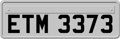 ETM3373
