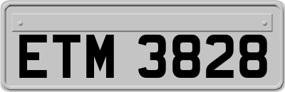 ETM3828