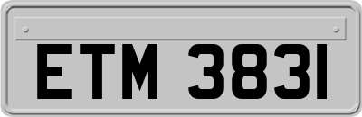 ETM3831