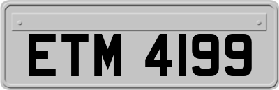 ETM4199