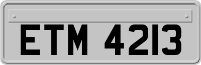 ETM4213