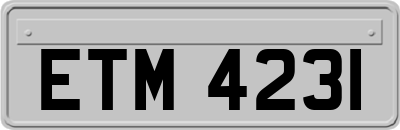 ETM4231
