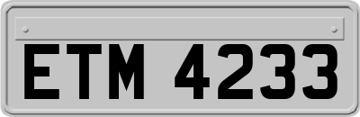 ETM4233