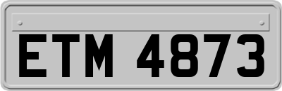 ETM4873