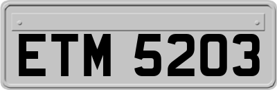 ETM5203