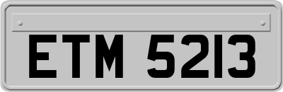 ETM5213