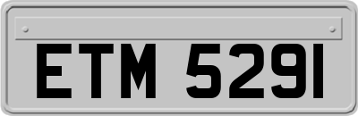 ETM5291