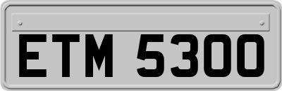 ETM5300
