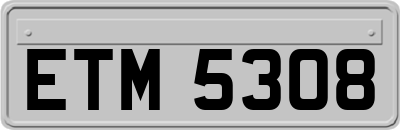 ETM5308