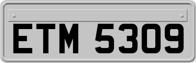 ETM5309