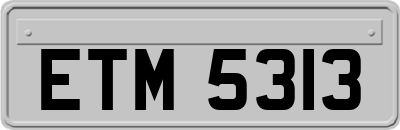 ETM5313
