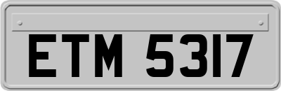 ETM5317