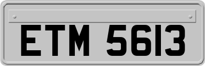 ETM5613