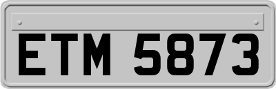 ETM5873