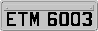 ETM6003
