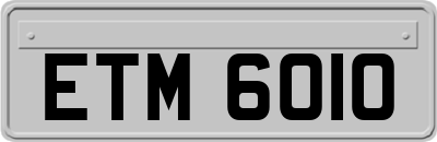 ETM6010