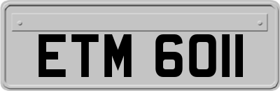 ETM6011