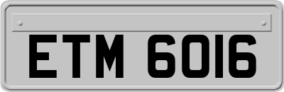 ETM6016