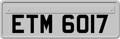 ETM6017