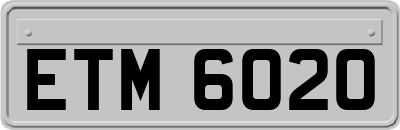 ETM6020