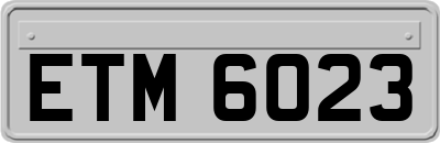 ETM6023