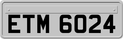 ETM6024