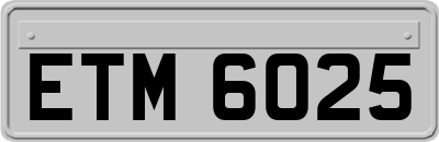 ETM6025