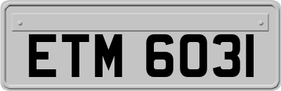ETM6031