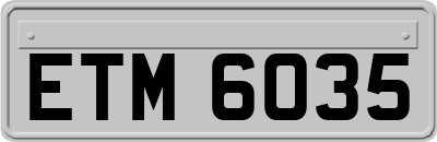 ETM6035