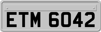 ETM6042