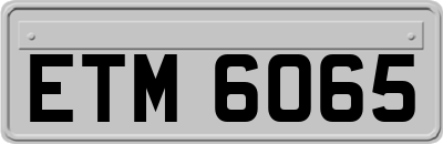 ETM6065