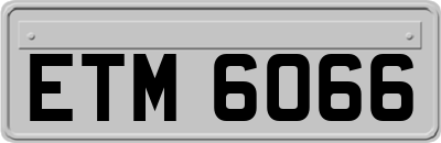 ETM6066