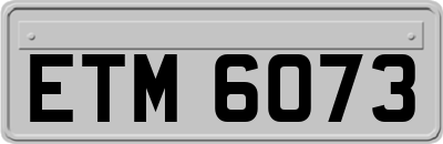 ETM6073
