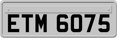 ETM6075