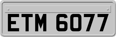 ETM6077