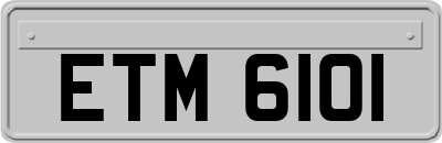 ETM6101