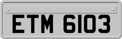 ETM6103