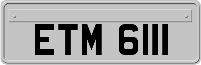 ETM6111