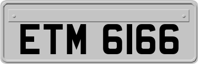 ETM6166