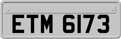 ETM6173
