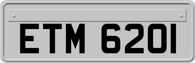 ETM6201